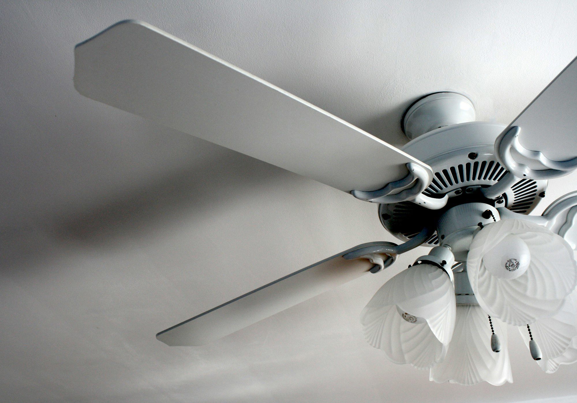 Lighting & Ceiling Fans