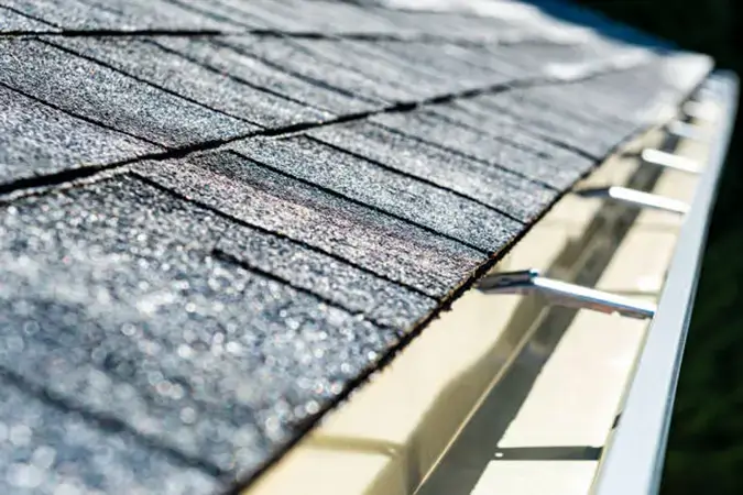 Gutter Cleaning